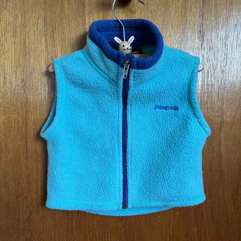 Patagonia Blue and Teal Fleece Vest